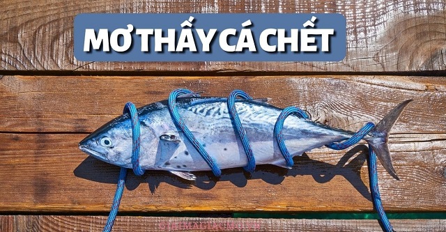 Nằm mơ thấy cá chết có ý nghĩa gì?