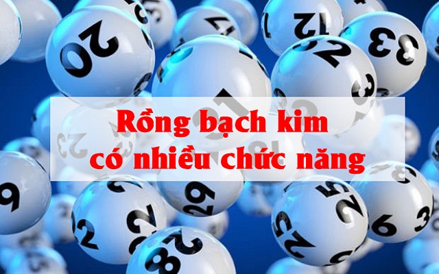 Web sở hữu nhiều chức năng hiện đại
