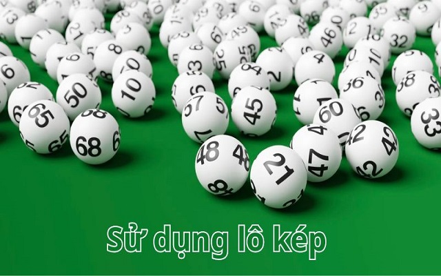 Khái niệm lô kép gan là gì