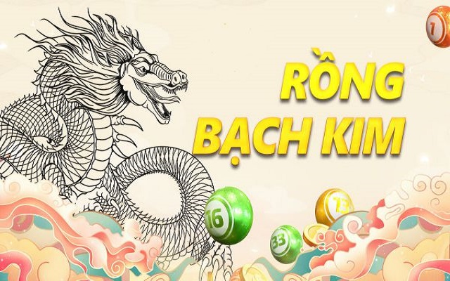 Thông tin sơ lược về Rồng Bạch Kim