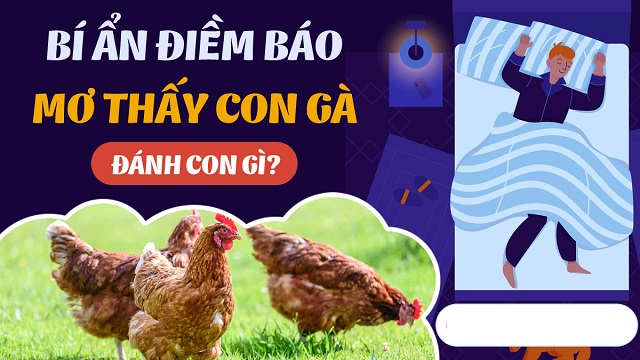 Chiêm bao mơ thấy gà là giấc mộng may mắn