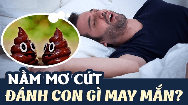 Chiêm bao thấy cứt người chốt đề số mấy trúng?
