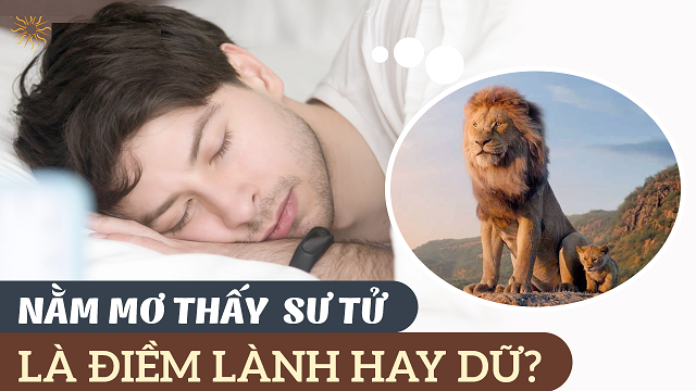 Điềm báo khi mơ thấy sư tử tốt hay xấu?