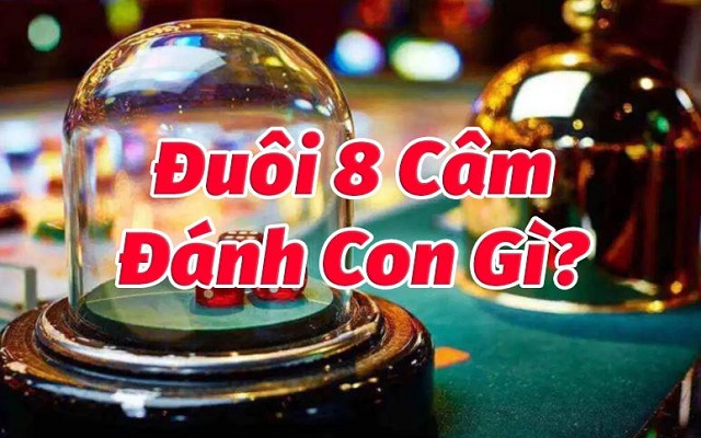 Đuôi câm 8 hôm sau đánh con gì Đuôi câm 8 hôm sau đánh con gì