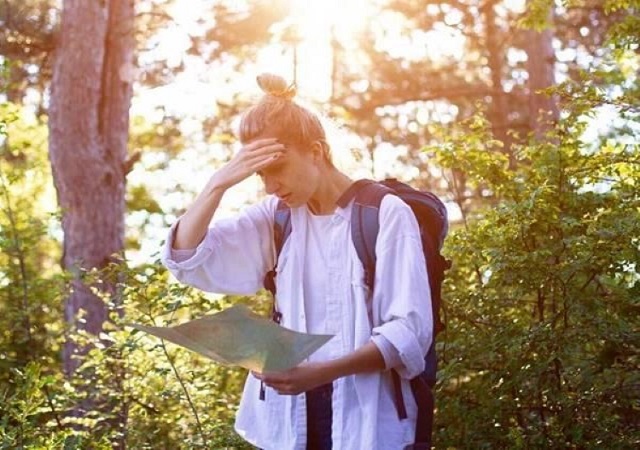 Giải mã giấc mơ đi lạc vào rừng