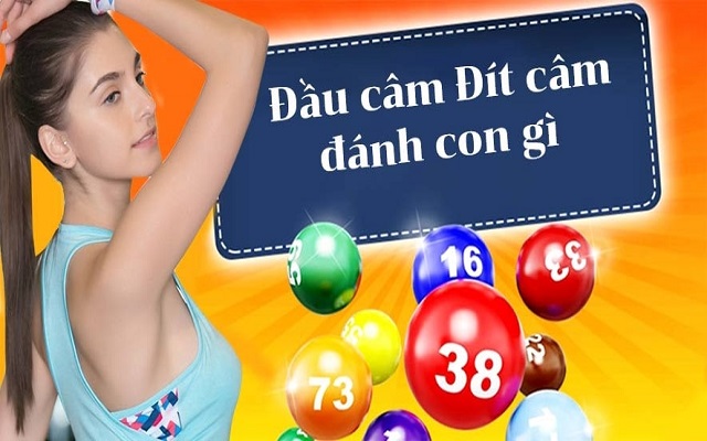 Khái niệm đầu câm 8