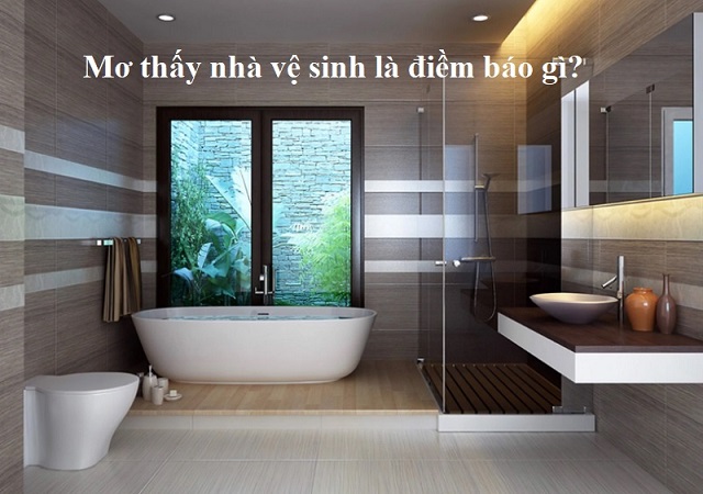 Giải mã giấc mơ thấy nhà vệ sinh