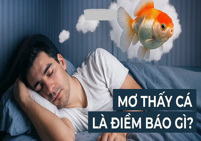 Mơ thấy cá là điềm báo gì