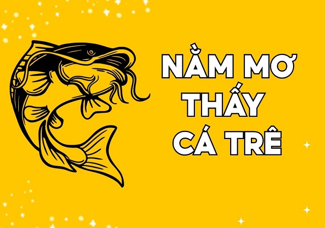 Chiêm bao mơ thấy cá trê đánh con gì và thông tin luận giải chi tiết