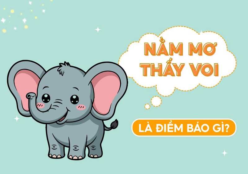 Mơ thấy voi và những điềm báo chi tiết dành cho bạn