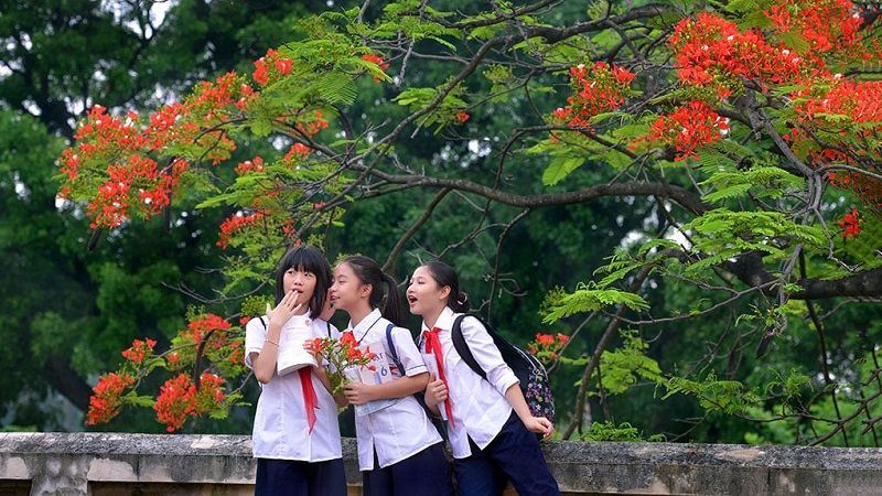 Mỗi ngữ cảnh trong mơ đại diện cho những thông điệp khác nhau Mỗi ngữ cảnh trong mơ đại diện cho những thông điệp khác nhau