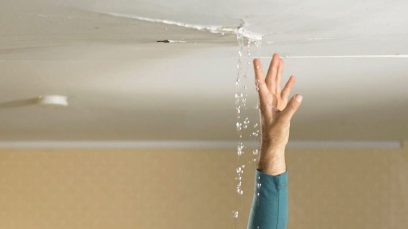 Mỗi sự kiện trong giấc mơ ẩn chứa ngụ ý dành riêng cho bạn